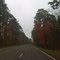 HWY 21 in December