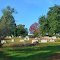 McCarter Cemetery
