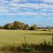 McLean Creek