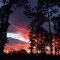 Mission Tejas State Park