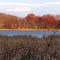 A blue stripe drawn by Cotton Lake