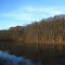 late fall (Poorman Dr, Pennfield, MI)
