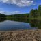 Indian Brook Reservoir North Swamp