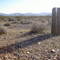 Some Rhyolite miner's last dig