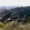 Runyon Canyon Trail, Los Angeles, CA