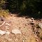 Rocky Trail Down