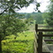 Hart-Montague Trail Lookout