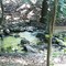 The Eitniear Crick