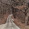 Drive Into Nature