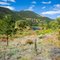 Hwy 149 Rio Grande