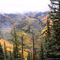 Color above East Willow Creek
