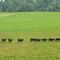 Countryside near Reedsburg, WI