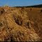 Wisconsin Wheat Field