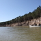 Timber falling in the river