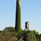 Vine-covered smokestack