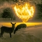 oh deer