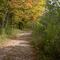 Nature Walk by Kenwood Beach
