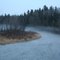 Aroostook River Stream