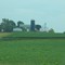 Farm past Juniper Road