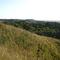 Folsom Point Preserve