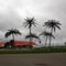 palm trees near I-70, promoting Colby as Oasis of the Plains, Colby, KS