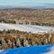 Winter Landscape
