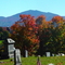 BurkeMt from Sutton