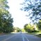 Ridgewood Avenue