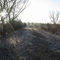 Frosty earthen dam