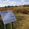 Trail ruts at Spring Creek Prairie near Denton, Nebraska