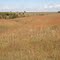 fall scenery, Spring Creek Prairie