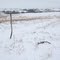 Nebraska City-Fort Kearney cut-off of the Oregon Trail