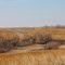 Spring Creek Prairie Audubon Center