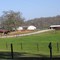 Clemson University Horse Farm