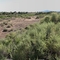 Yucca House National Monument