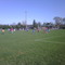 AYSO Soccer Game