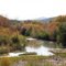 Isolated Riparian Area along the Gila River
