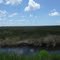 Ozello Trail View 02
