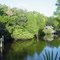 manmade canal off St. Martins River, Ozello Fla (9-2009)