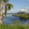Salt River, coastal Citrus County, Ozello Fla (9-2009)
