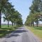 Jamaica Point Rd