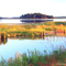 Blackwater NWR, Maryland