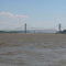Mississippi River at Cape Girardeau