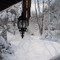 Winter in Colesville