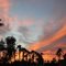 Palm Creek Sky.Casa Grande