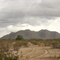 Signal Peak From Linnet DR