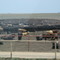 Cattle lot