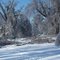 Looking west on E Cypress After ice storm