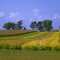 Missouri Farm
