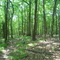 Trail on ridgetop